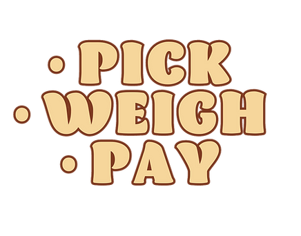 SATURDAY FEB 25th 11am-7pm(4).png